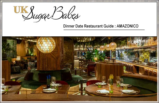 Mayfair Escorts Dinner Dates - Amazonico